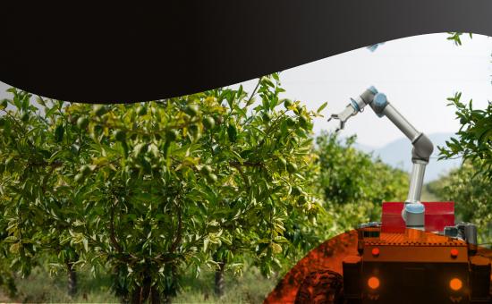 Smart Agriculture: la connettività IoT Digital hub di WINDTRE Business per l’agricoltura 4.0
